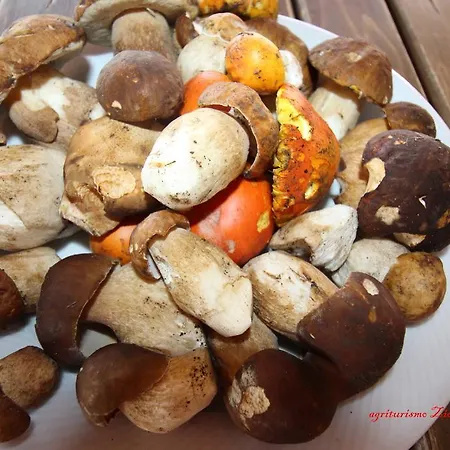 Agriturismo Zio Cristoforo 팜스테이