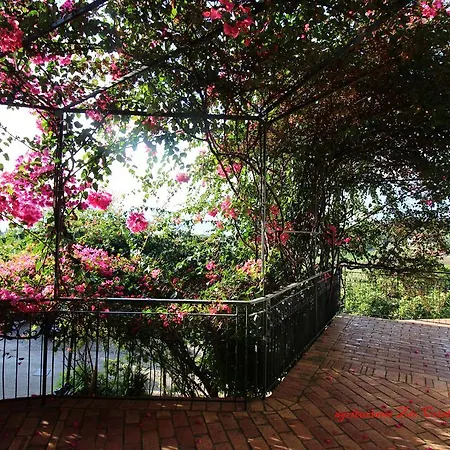 Zio Cristoforo Farm stay
